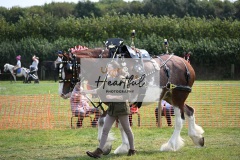 Ashwater-main-ring-013