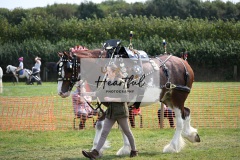 Ashwater-main-ring-014