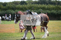Ashwater-main-ring-015