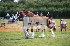 Ashwater-main-ring-020