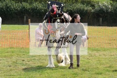 Ashwater-main-ring-022