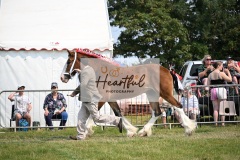 Ashwater-main-ring-037