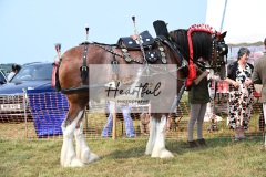 Ashwater-main-ring-045