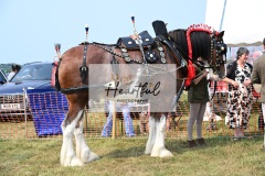 Ashwater-main-ring-046
