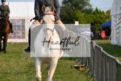 Ashwater-ring-1-2080