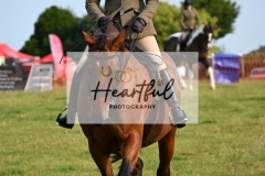 Ashwater-ring-1-2081