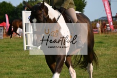 Ashwater-ring-1-2083