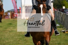 Ashwater-ring-1-2084