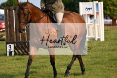 Ashwater-ring-1-2085