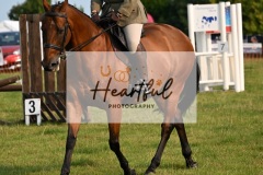 Ashwater-ring-1-2086