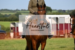 Ashwater-ring-1-2091