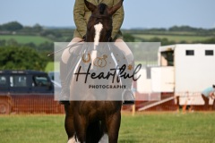 Ashwater-ring-1-2092