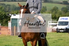 Ashwater-ring-1-2093