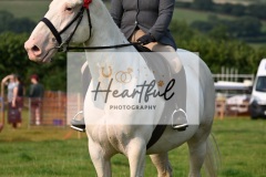 Ashwater-ring-1-2094