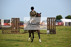 Ashwater-ring-1-2097