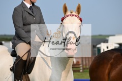 Ashwater-ring-1-2102