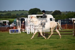 Ashwater-ring-1-2103