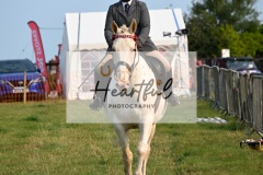 Ashwater-ring-1-2104