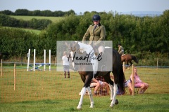 Ashwater-ring-1-2105