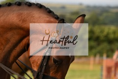 Ashwater-ring-1-2113