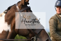 Ashwater-ring-1-2114