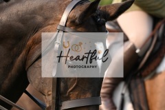 Ashwater-ring-1-2115