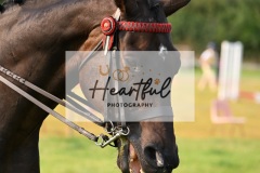 Ashwater-ring-1-2116