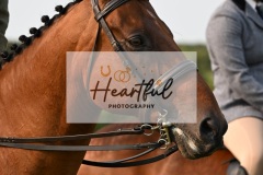 Ashwater-ring-1-2118