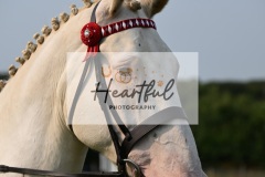 Ashwater-ring-1-2119