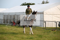 Ashwater-ring-1-2120