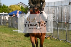 Ashwater-ring-1-2124