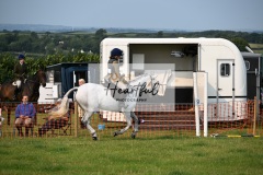 Ashwater-ring-1-2128