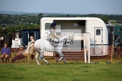 Ashwater-ring-1-2129