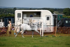 Ashwater-ring-1-2130