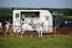 Ashwater-ring-1-2131