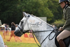 Ashwater-ring-1-2156