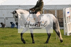 Ashwater-ring-1-2157