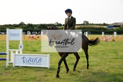 Ashwater-ring-1-2187