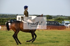 Ashwater-ring-1-2191