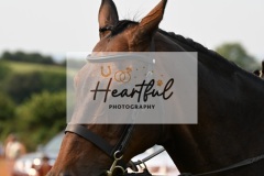 Ashwater-ring-1-2193