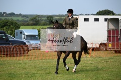 Ashwater-ring-1-2219