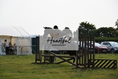 Ashwater-ring-1-2224