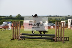 Ashwater-ring-1-2228