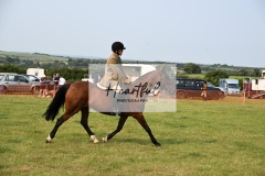 Ashwater-ring-1-2239