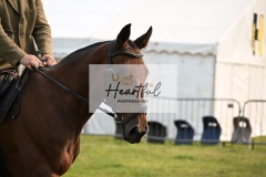 Ashwater-ring-1-2242