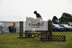 Ashwater-ring-1-2245