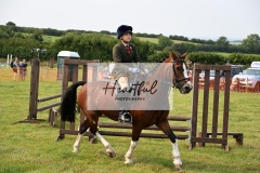 Ashwater-ring-1-2280