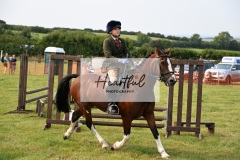 Ashwater-ring-1-2281