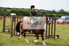 Ashwater-ring-1-2282