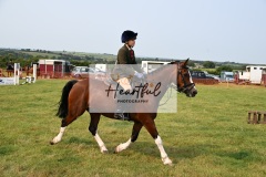 Ashwater-ring-1-2283